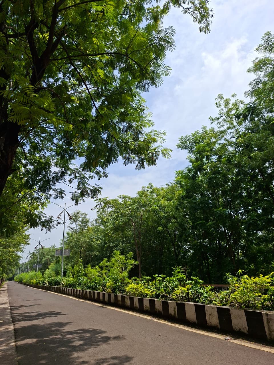 BU Bhopal Campus photo 6